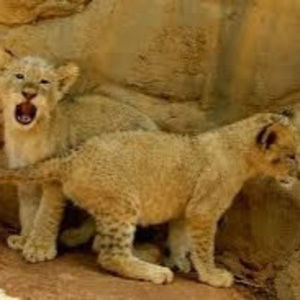 Meet your Posher, Norah